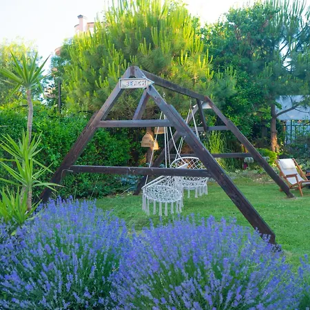 Dion لوزينيتس