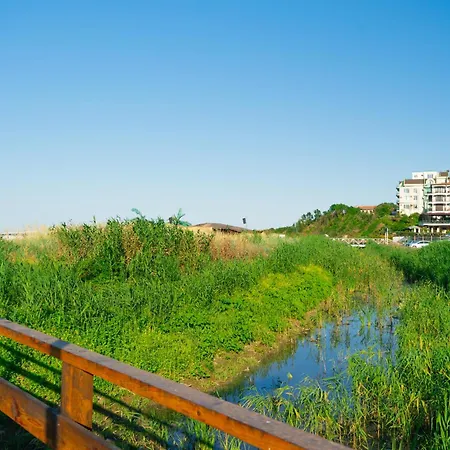 Dion 3* لوزينيتس