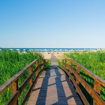 Dion لوزينيتس