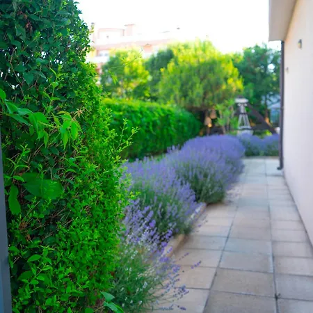 Dion شقة فندقية