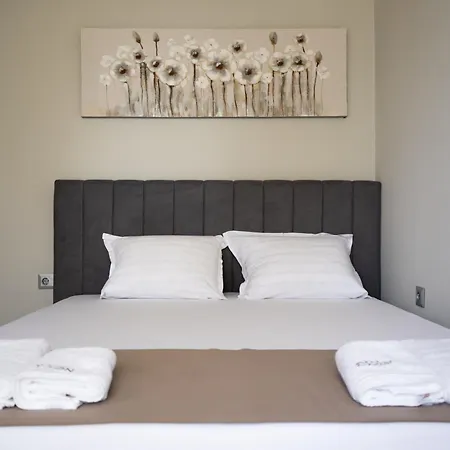 Dion لوزينيتس