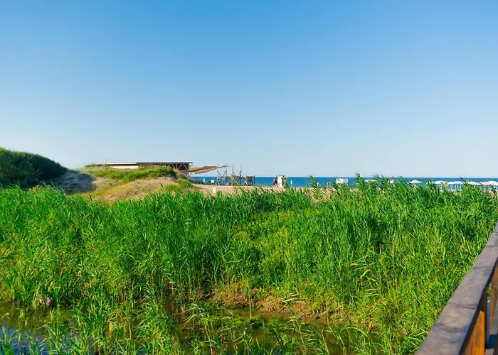 아파트호텔 Dion 로제넷츠