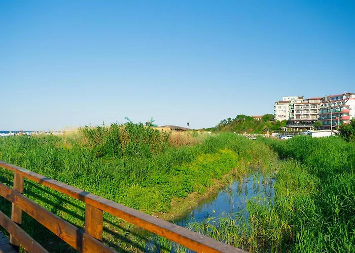 Dion 3* 로제넷츠