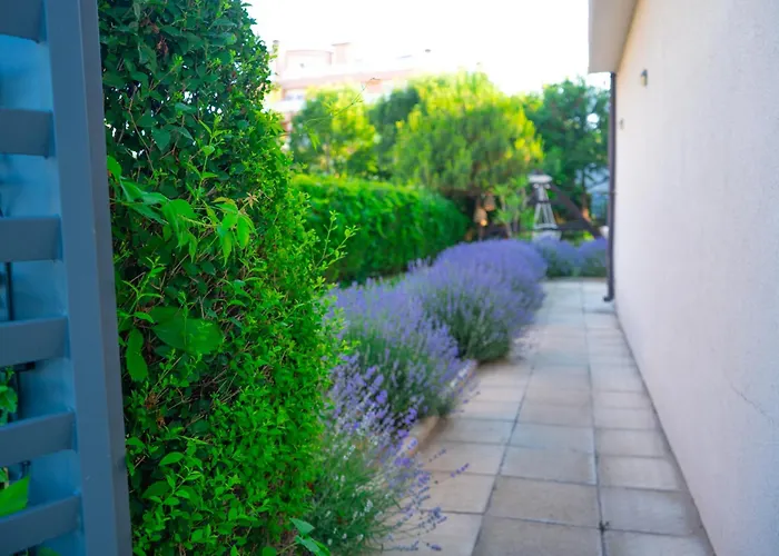 Dion 아파트호텔