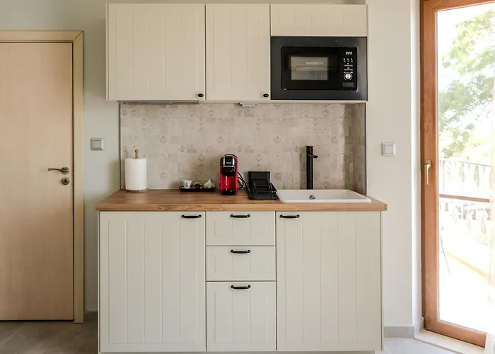 Dion 아파트호텔 3*