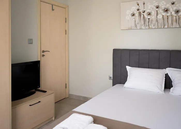 Dion 3* 로제넷츠